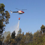 Incêndio que deflagrou de madrugada no parque nacional da peneda-gerês mobiliza três meios aéreos