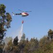 Meio aéreo combate incêndio no parque nacional da peneda-gerês