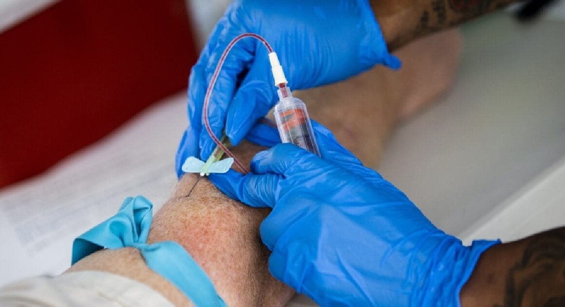 Diretor do programa das hepatites alerta para provável aumento de cancros do aparelho digestivo