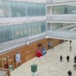 Ordem dos médicos pede esclarecimentos sobre diretor que ganhou milhões em contratos com hospital de braga