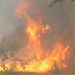 Pnpg: incêndio no lindoso em fase de resolução
