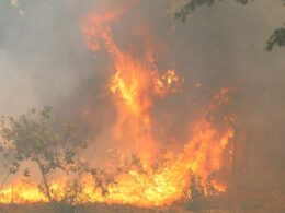 Pnpg: incêndio no lindoso em fase de resolução