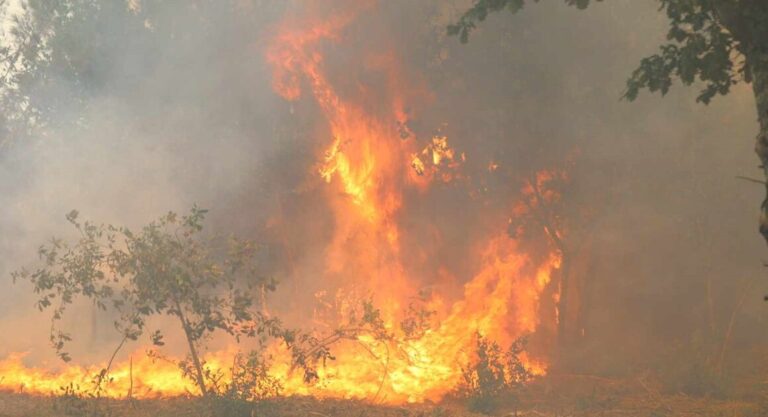 Pnpg: incêndio no lindoso em fase de resolução