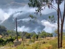 Ponte da barca ativa plano municipal de emergência