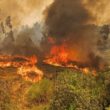 "muitos reacendimentos" complicam combate ao fogo no parque nacional da peneda-gerês
