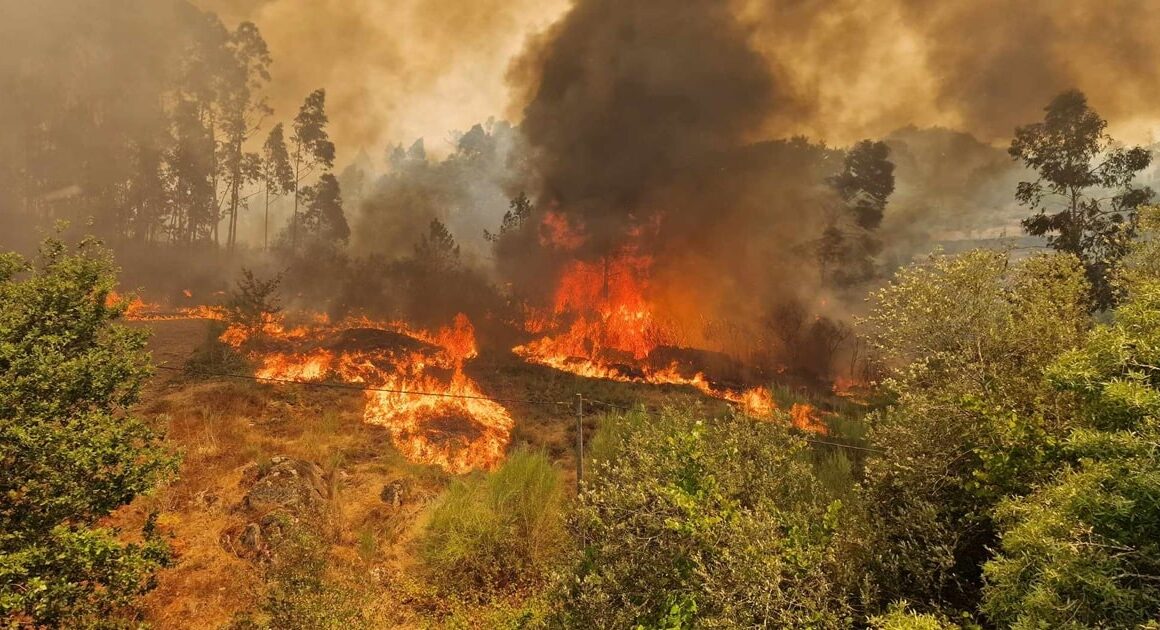 "muitos reacendimentos" complicam combate ao fogo no parque nacional da peneda-gerês