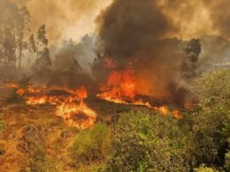 "muitos reacendimentos" complicam combate ao fogo no parque nacional da peneda-gerês