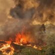 Ponte da barca: incêndio "está a evoluir favoravelmente" e poderá estar controlado até ao fim da manhã