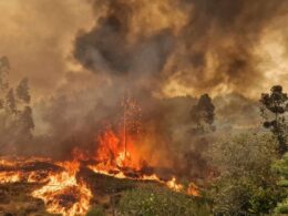 Ponte da barca: incêndio "está a evoluir favoravelmente" e poderá estar controlado até ao fim da manhã