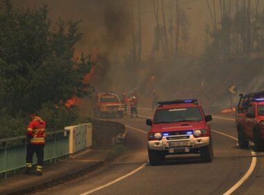 Investigadora defende reforço de meios do icnf na peneda-gerês 