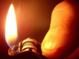 Incendiário detido em vila do conde