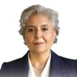 Maria josé fonseca é a candidata do chega à câmara de celorico de basto