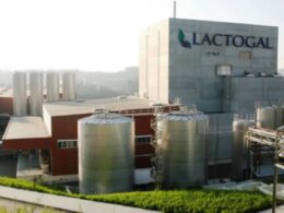 Lactogal "lamenta situação verificada" após poluição em praia de vila do conde