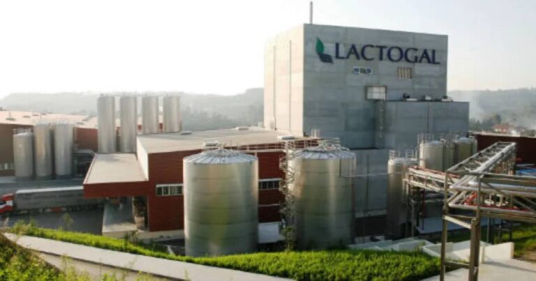 Lactogal "lamenta situação verificada" após poluição em praia de vila do conde