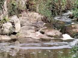 Iniciativa liberal denuncia descarga ilegal no rio cávado em barcelos