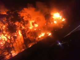 Incêndio deflagra junto a variante em barcelos