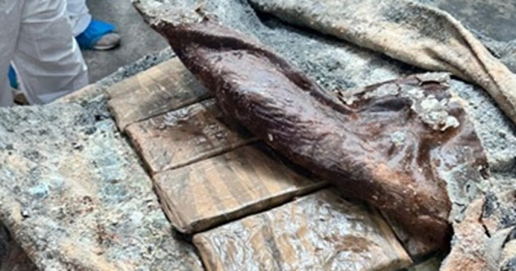 Capitão portal é o gnr detido em fafe com tonelada e meia de cocaína