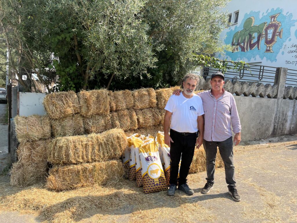 Voluntários distribuíram feno para alimentar gado afetado por incêndios em ponte da barca 7 Voluntários distribuíram feno para alimentar gado afetado por incêndios em ponte da barca