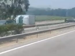 Colisão entre camião e carro faz um ferido na a7