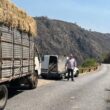 Voluntários distribuíram feno para alimentar gado afetado por incêndios em ponte da barca
