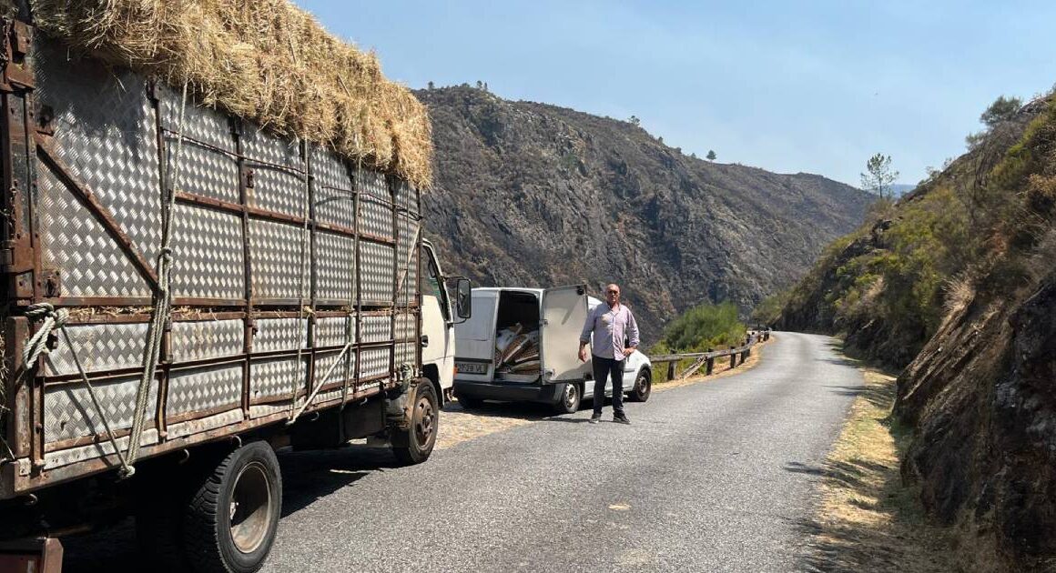 Voluntários distribuíram feno para alimentar gado afetado por incêndios em ponte da barca