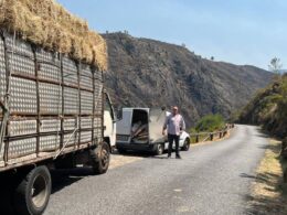 Voluntários distribuíram feno para alimentar gado afetado por incêndios em ponte da barca
