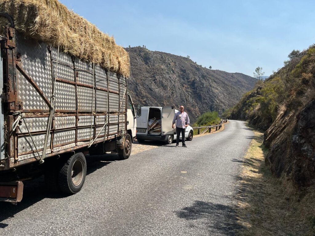 Voluntários distribuíram feno para alimentar gado afetado por incêndios em ponte da barca 8 Voluntários distribuíram feno para alimentar gado afetado por incêndios em ponte da barca