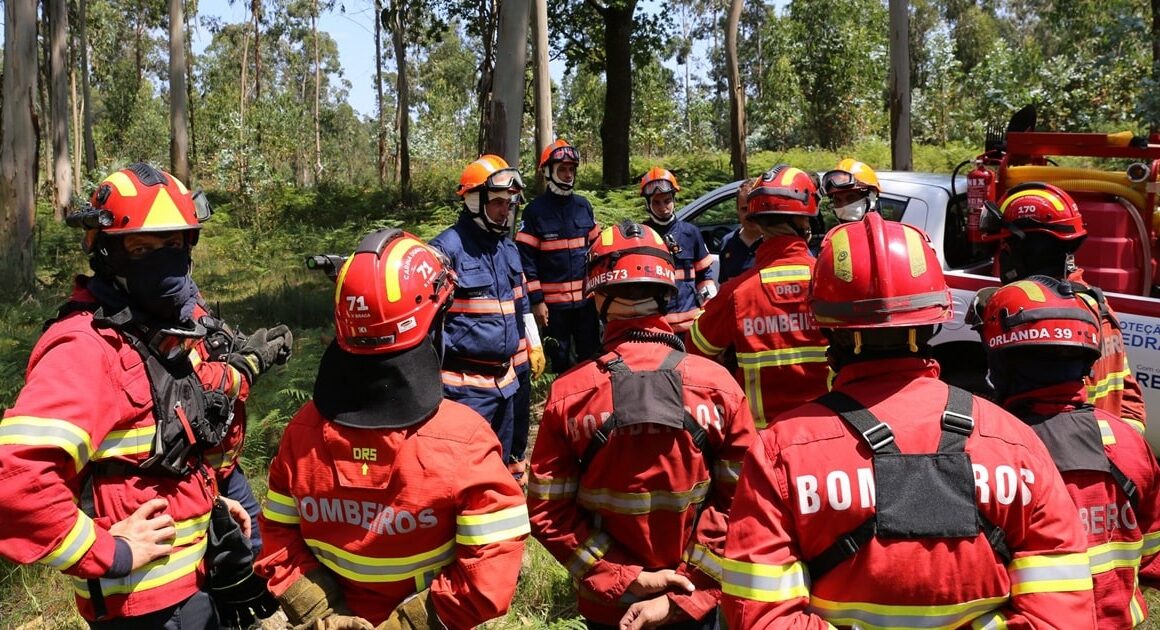 Braga dispensa funcionários municipais que sejam bombeiros para combater incêndios