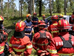 Braga dispensa funcionários municipais que sejam bombeiros para combater incêndios