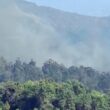Com vários incêndios em poucas horas, celorico de basto apela à denúncia