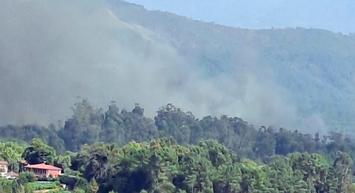Com vários incêndios em poucas horas, celorico de basto apela à denúncia