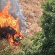 Carro despista-se no algarve e começa a arder. Há cinco mortos