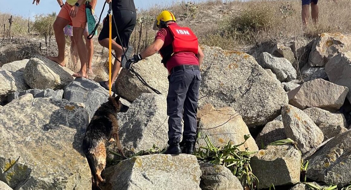 Pastor-alemão encontrado à deriva na foz do rio ave