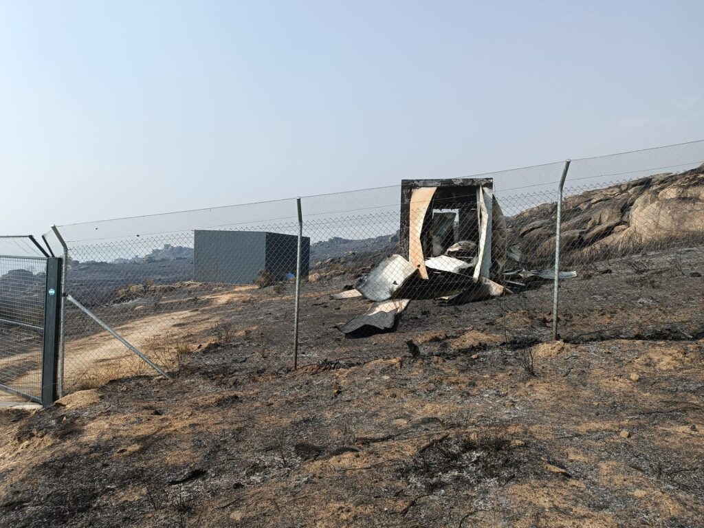 Trás-os-montes: incêndio destrói ninhos e mata cria de uma das espécies de abutre mais raras