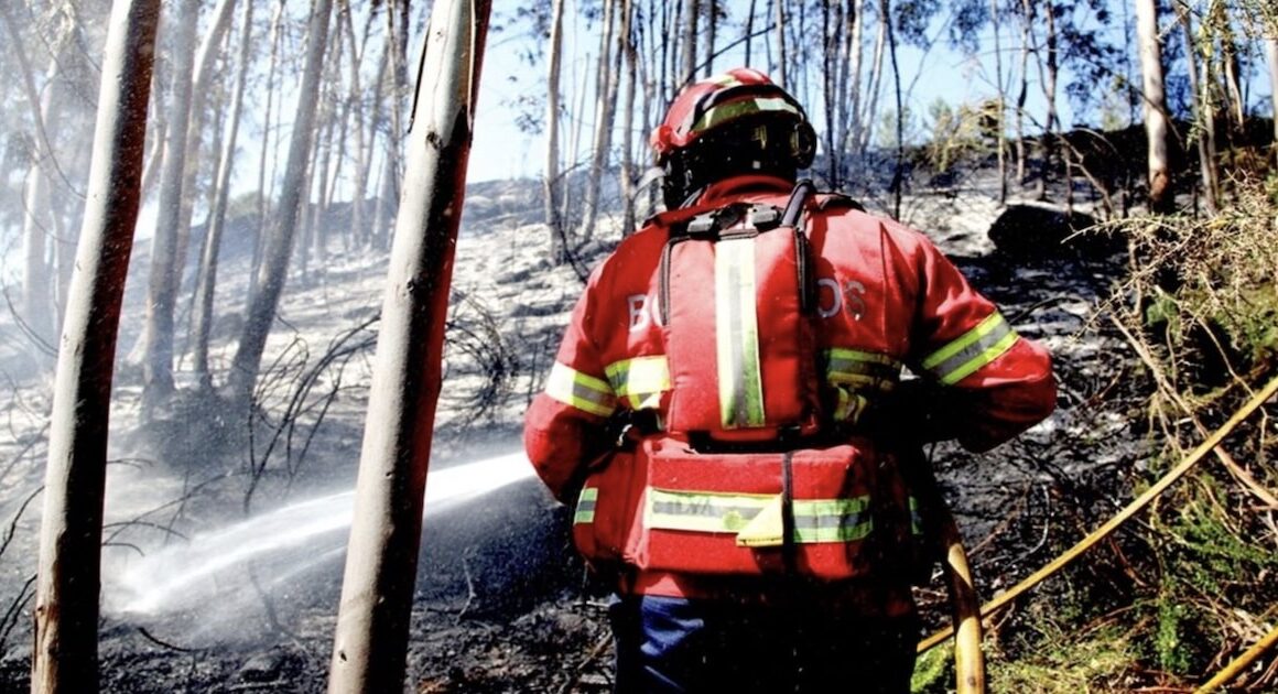 Mulher detida em trás-os-montes por suspeita de incêndio florestal