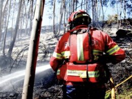 Mulher detida em trás-os-montes por suspeita de incêndio florestal
