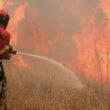 Incêndios: fogo em vila verde em resolução