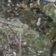 Tempestade em trás-os-montes