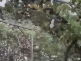 Tempestade em trás-os-montes