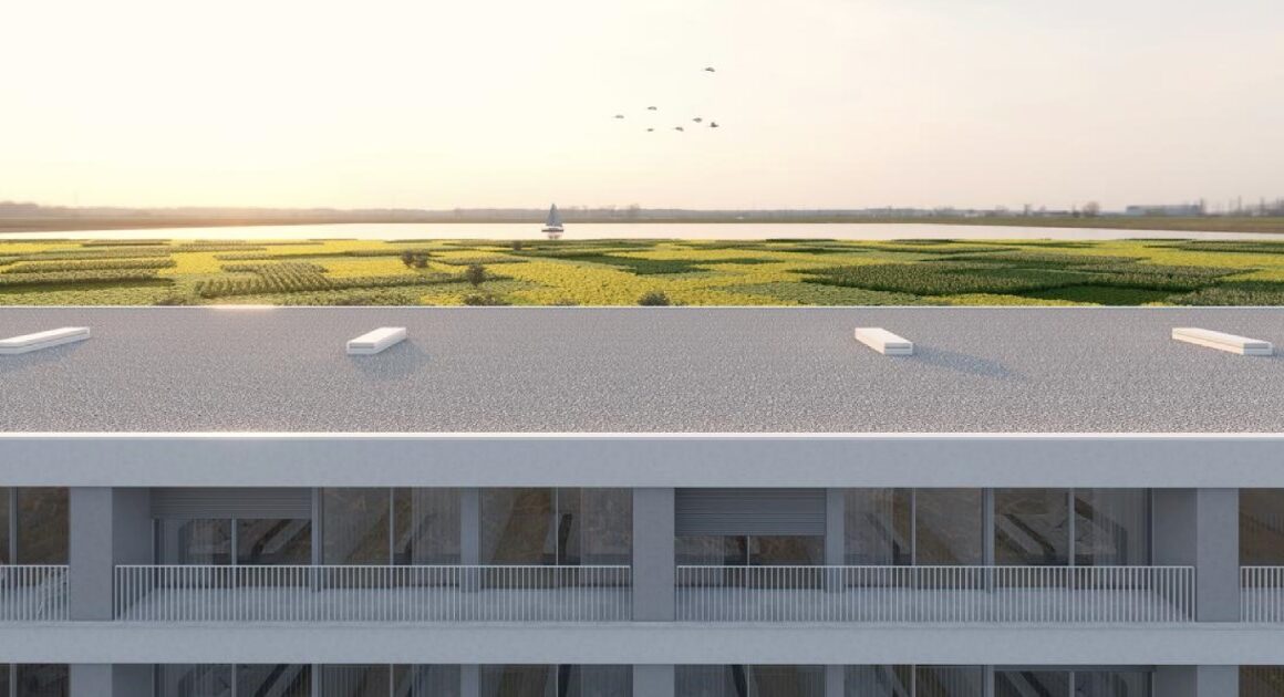 Grupo de barcelos constrói 30 apartamentos de luxo com vista para o rio em viana