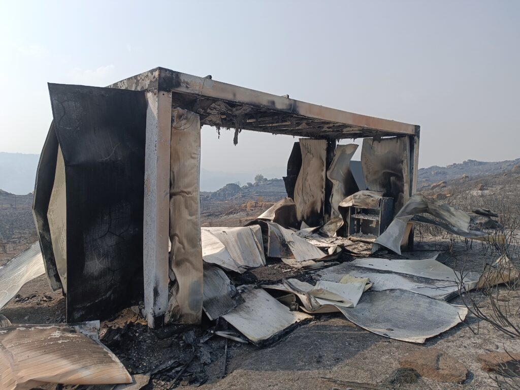 Trás-os-montes: incêndio destrói ninhos e mata cria de uma das espécies de abutre mais raras
