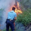 Detidas 36 pessoas em flagrante este ano pelo crime de fogo florestal. Quatro no distrito de braga