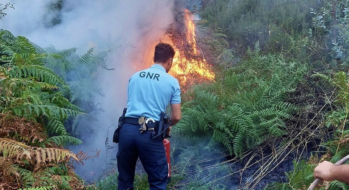 Detidas 36 pessoas em flagrante este ano pelo crime de fogo florestal. Quatro no distrito de braga
