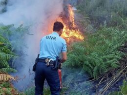 Detidas 36 pessoas em flagrante este ano pelo crime de fogo florestal. Quatro no distrito de braga