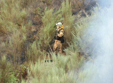 Mais de 2. 600 operacionais e 23 meios aéreos combatiam fogos às 16:00
