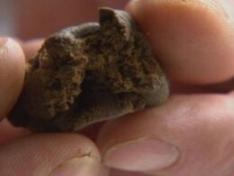Vendia droga a um casal de braga. Agora foi condenado a 7 anos de cadeia