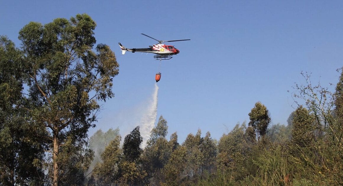 Cinco meios aéreos reforçam combate a incêndio em mondim de basto