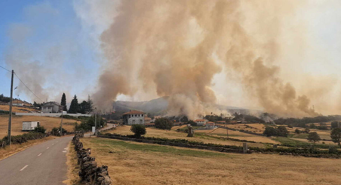Governo admite situação de calamidade na sequência dos incêndios