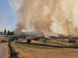 Governo admite situação de calamidade na sequência dos incêndios