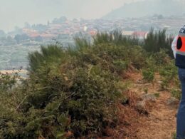 Ponte da barca: "está tudo muito mais calmo", mas é "importante manter a vigilância"